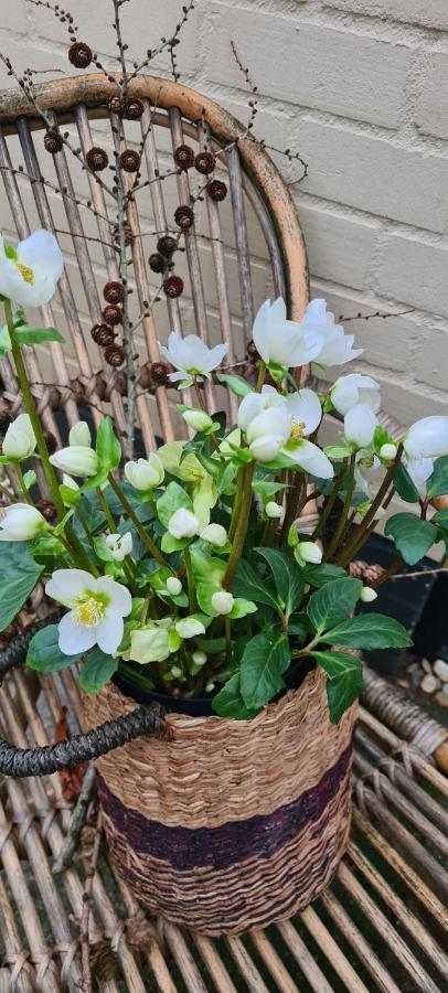 Marry'S Boshuisje 达尔夫森 外观 照片